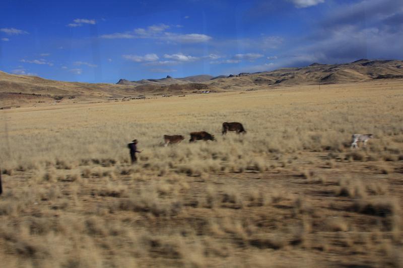 709-per Puno,12 luglio 2013.JPG
